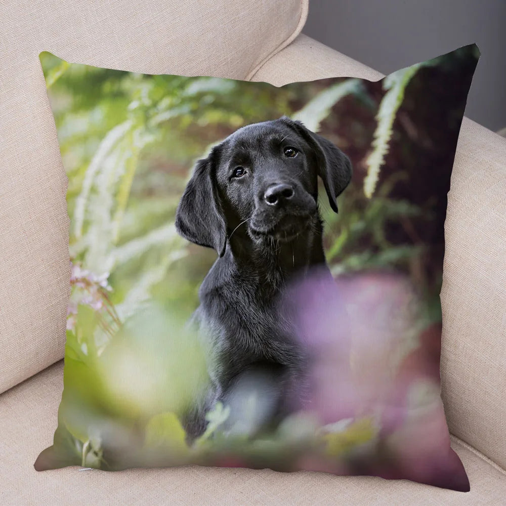 Housse de coussin Labrador noir – Peluche douce, 45x45cm, Décoration maison et voiture